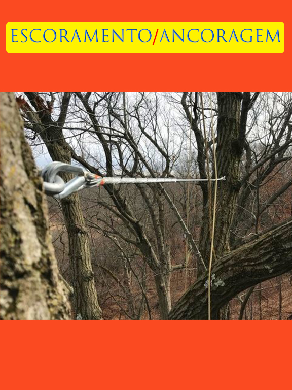 19 - Escoramento.jpg