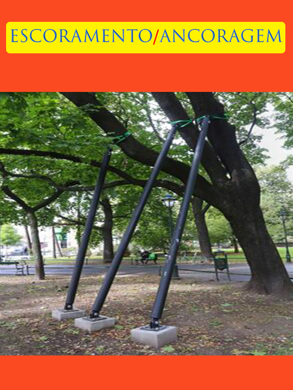 21 - Escoramento.jpg