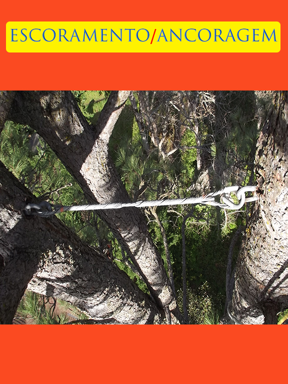 18 - Escoramento.jpg