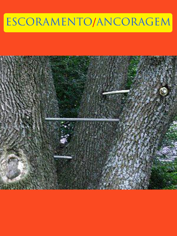 24 - Escoramento.jpg
