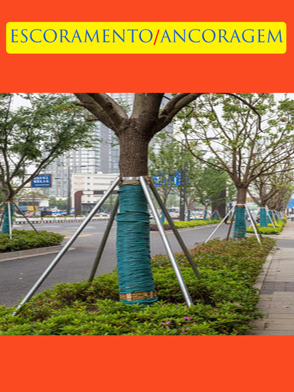 22 - Escoramento.jpg