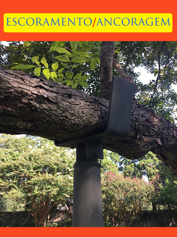 23 - Escoramento.jpg