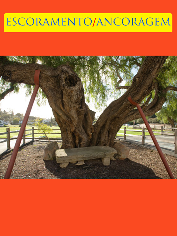 20 - Escoramento.jpg